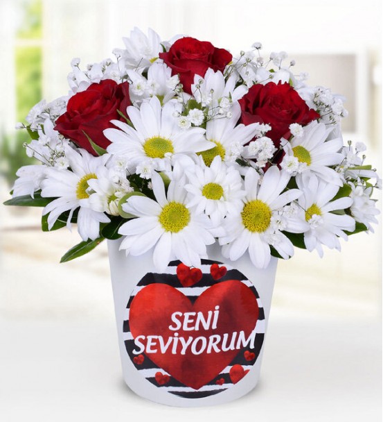 Kırmızı Gül ve Papatyalar İle Seni Seviyorum 